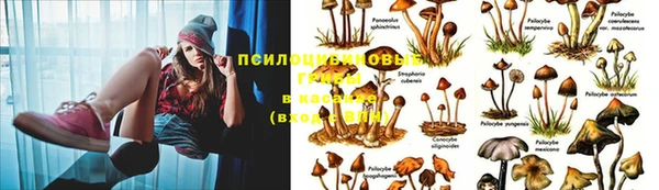 мяу мяу кристалл Арсеньев