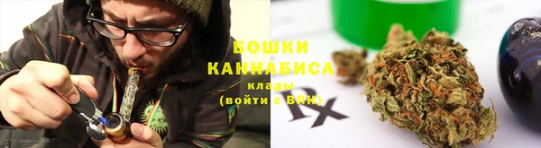 ПСИЛОЦИБИНОВЫЕ ГРИБЫ Баксан