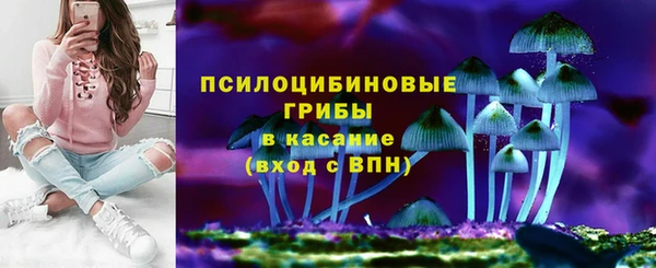 крисы Армянск