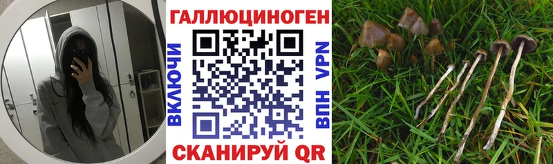 купить закладку  OMG маркетплейс  Галлюциногенные грибы мухоморы  Мураши 